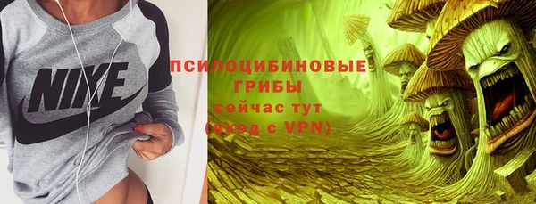 Альфа ПВП Ладушкин