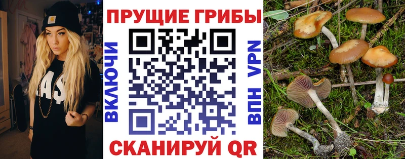 Купить  Красноуфимск  Галлюциногенные грибы Magic Shrooms 