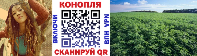 Бошки марихуана White Widow  Купить где  Красноуфимск 